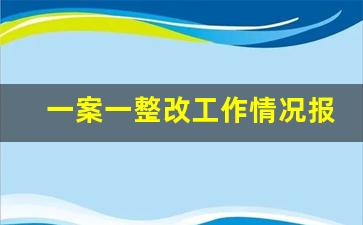 一案一整改工作情况报告_一案一整改对照检查材料