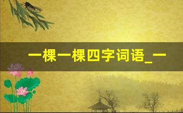 一棵一棵四字词语_一颗两颗的颗四字词语