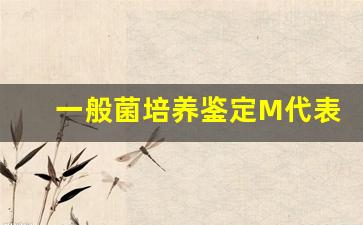 一般菌培养鉴定M代表什么