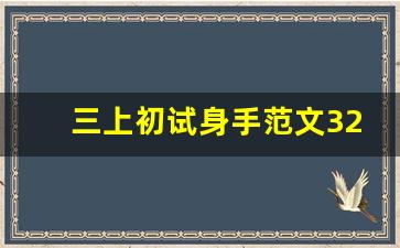 三上初试身手范文320字