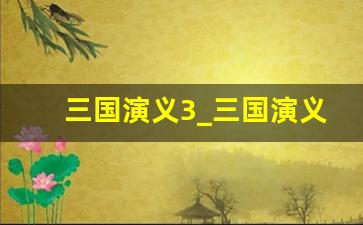 三国演义3_三国演义老版第三集