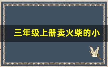 三年级上册卖火柴的小女孩的词语