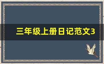 三年级上册日记范文300字_三年级上册写日记作文300字