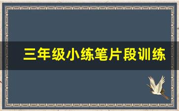 三年级小练笔片段训练