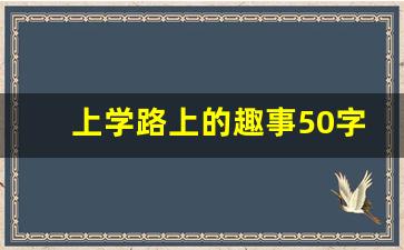 上学路上的趣事50字