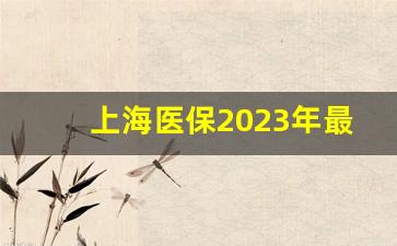 上海医保2023年最新规定_上海市医保缴费标准