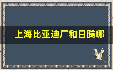 上海比亚迪厂和日腾哪个厂好点_上海车墩比亚迪厂怎么样