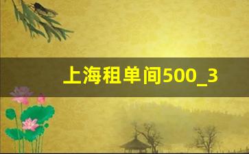 上海租单间500_30平米一厅一厨一卫