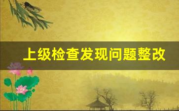 上级检查发现问题整改报告_关于整改情况说明怎么写