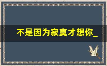 不是因为寂寞才想你_不是因为寂寞才想你下载