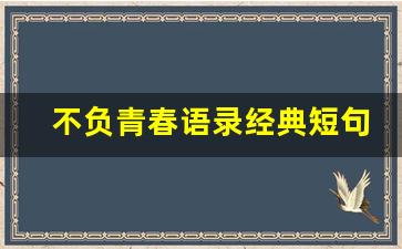 不负青春语录经典短句唯美