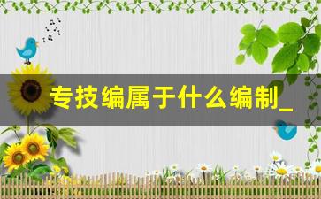 专技编属于什么编制_事业单位专业技术人员是什么编制