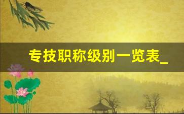 专技职称级别一览表_事业单位十三级工资表