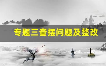 专题三查摆问题及整改措施_上半年查摆问题整改情况