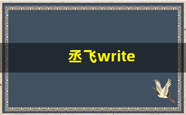 丞飞write