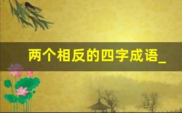 两个相反的四字成语_一正一负刚好相反的成语