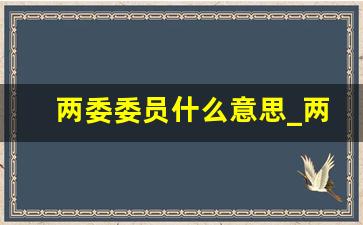 两委委员什么意思_两委委员是什么编制