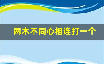 两木不同心相连打一个字_两木共心打一字