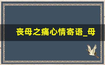 丧母之痛心情寄语_母亲离世一周年怀念短句