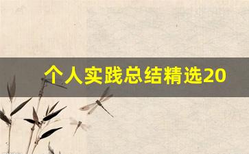 个人实践总结精选20篇_实践工作内容总结100字