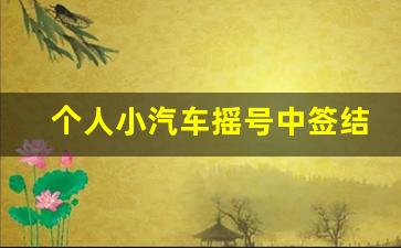 个人小汽车摇号中签结果查询流程_车牌号查询