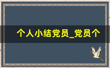 个人小结党员_党员个人总结简短100字