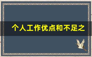 个人工作优点和不足之处_优秀个人工作总结