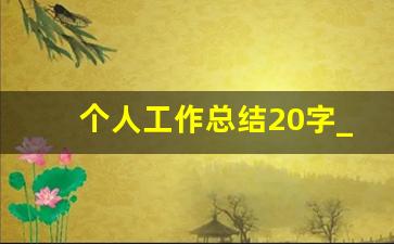 个人工作总结20字_工作总结20字