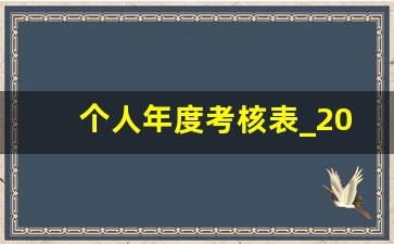 个人年度考核表_2006年度考核表的个人总结