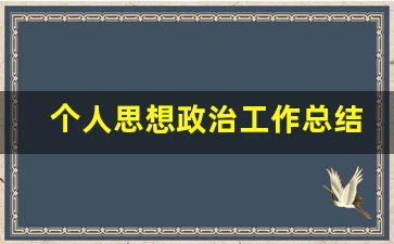 个人思想政治工作总结报告