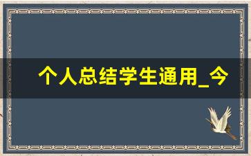 个人总结学生通用_今日总结怎么写学生