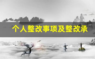 个人整改事项及整改承诺_个人查摆问题及整改措施清单