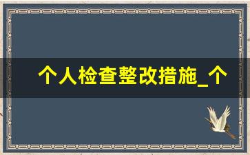 个人检查整改措施_个人整改措施怎么写