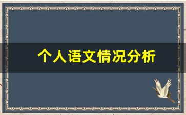 个人语文情况分析