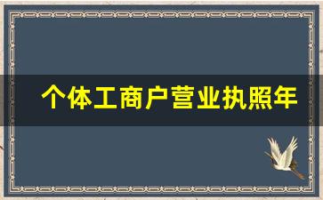 个体工商户营业执照年检