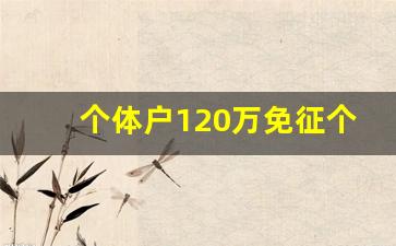 个体户120万免征个人所得税