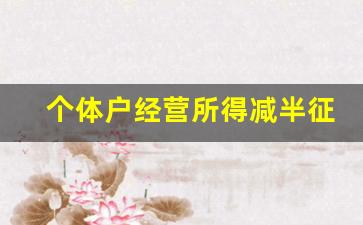 个体户经营所得减半征收政策_个体户100万以下减半征收