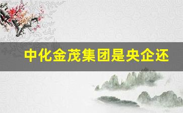 中化金茂集团是央企还是国企_中国金茂招人标准