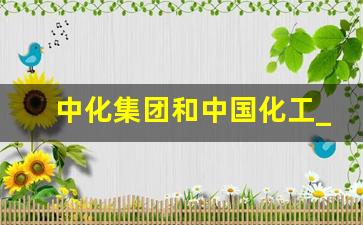 中化集团和中国化工_中化是什么级别的央企