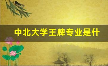 中北大学王牌专业是什么意思_中北大学毕业分配