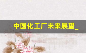 中国化工厂未来展望_中国未来30年展望