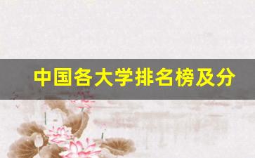 中国各大学排名榜及分数线_高考院校榜单