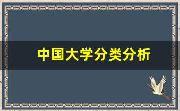 中国大学分类分析