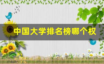 中国大学排名榜哪个权威_中国大学排名哪一个更权威