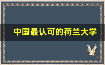 中国最认可的荷兰大学_世界商学院排名一览表