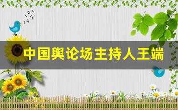 中国舆论场主持人王端端照片_新闻联播主持人王端端