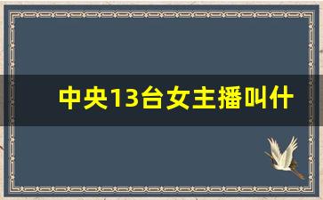 中央13台女主播叫什么