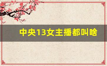 中央13女主播都叫啥名_中央13套最新女主持人