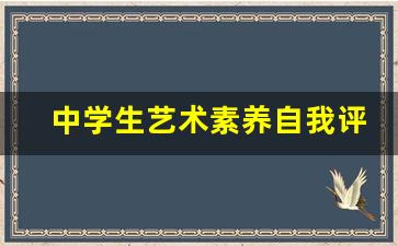 中学生艺术素养自我评价