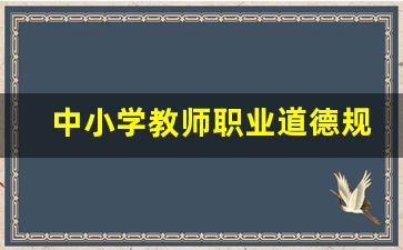 中小学教师职业道德规范心得体会_2023师德师风读书笔记